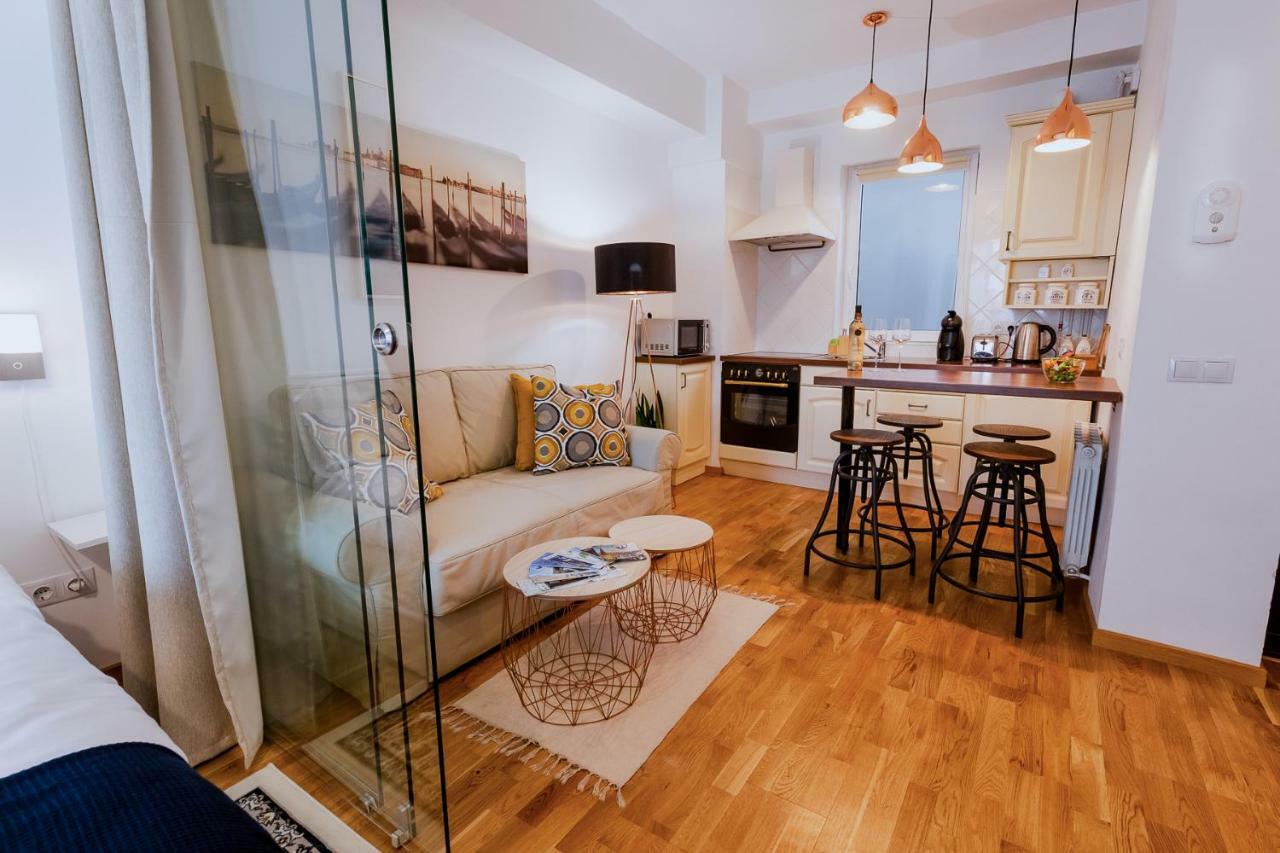 Ultracentral Apartment Kluż-Napoka Zewnętrze zdjęcie