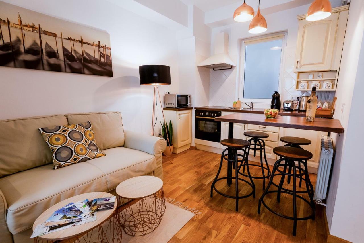 Ultracentral Apartment Kluż-Napoka Zewnętrze zdjęcie